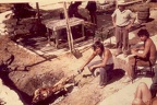 Yanni Farm2