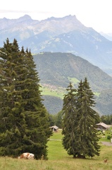 Views-around-Leysin-near-Prafandaz