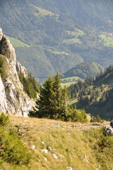 Views-around-Leysin-up-near-Prafandaz