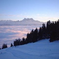 DSC00003