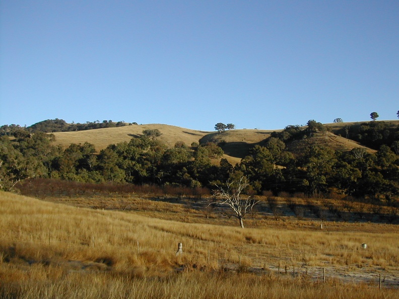 DSCN1027.jpg